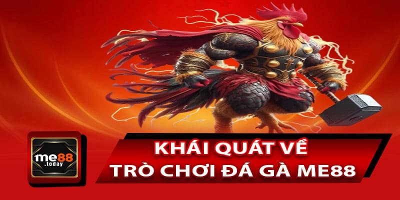 Khái quát về trò chơi đá gà ME88
